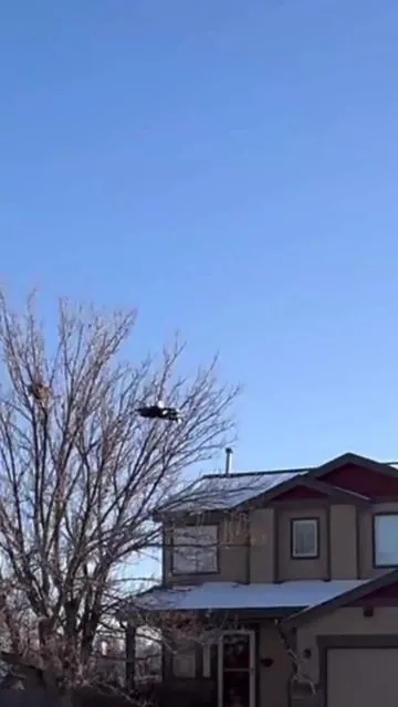 Trying to Fly an RC Airplane for the First Time #toy #remotecontrol #rcfighterjet #dronejet #drone #rcplane #TikTokShopJumpstartSale #spotlightfinds 