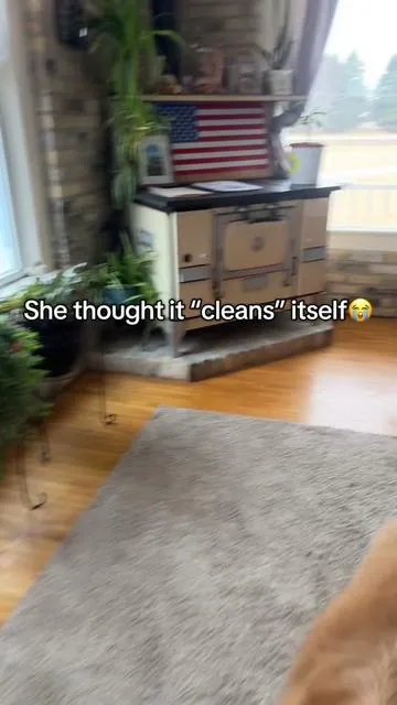 She thought the ice maker “cleans” itself😭 #icemaker #icemachine #cleaninghacks #countertopicemaker #ice #tiktokmademebuyit 