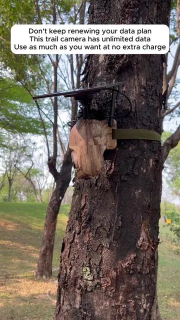 You're not still paying for the high amount of traffic, are you? #foryou #tiktokmademebuyit #trailcamera #solar #falldealsforyou #camera #trailcam #securitycamera #hunt #hunting #off #tiktokshopblackfriday #blacktiktok #huntaccessories #deertiktok #deerhunting #huntingtiktok #campinggadgets #cameratricks #hunterxhunter #tiktokshopblackfriday #tiktokshopcybermonday#camaradevigilancia #camaradevigilancia #zoom #muebles #ecuritycamera #onsale #tiktokshopsummersale #muebles #happyfathersday #pov #camarasincables #camara #vigilancia #precio #camara de #seguridad #cámara #cámara #vigilancia #super #funcional #4k #inalambrico #2k #electrico#TikTokShopRestock#unleashyourgame