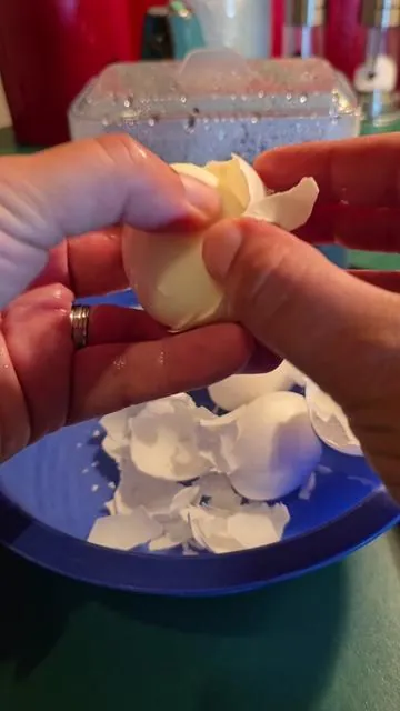 This egg cooker is my favorite kitchen appliance #eggcooker #boiledeggs #howtoboileggs #eggs #kitchenappliances 