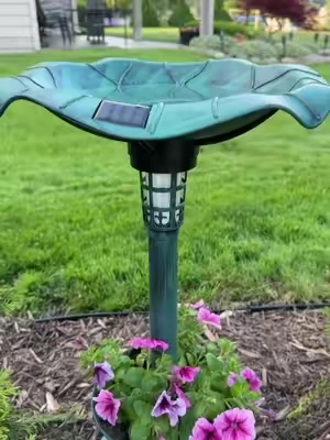 One of my favorite decor pieces ever! Also available in copper 🤩 #birdbath #birds #birdfeeder 