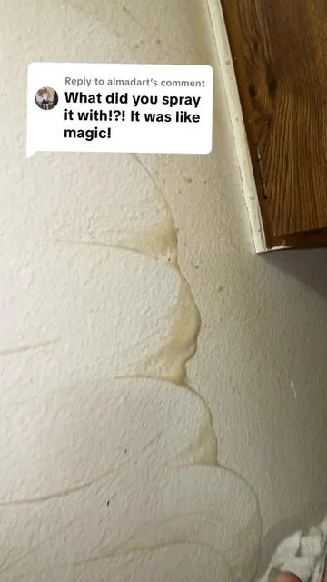 Replying to @almadart this is going to be on my Christmas wish list this year😂 #degreaser #allpurposecleaner #cleantok #deepclean #cleaning #walls #cleaningtiktok #cleaningproducts #fyp #tiktokshop #liapu 