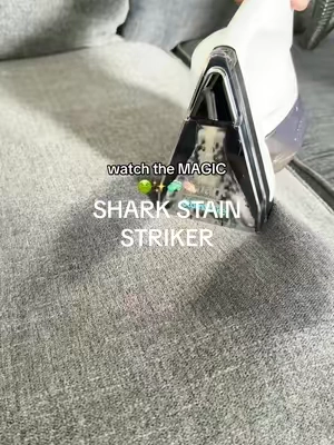 best investment as a dirty pet/kid owner 👏🏻✨🙌🏻  @Shark Home #sharkstainstriker #stainremover #upholsterycleaning #carpetcleaner #CleanTok #portablecarpetcleaner #spotcleaner #cleaninghacks #sharkhome #dealsforyoudays #tiktokshopdeals 