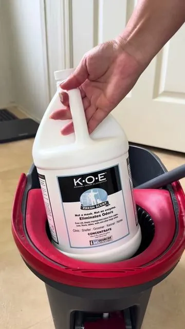 Cómo eliminar el olor a perro #tiktokshopmusthaves #tiktokshopfinds #Dealsforyouday #UFORU #tiktokshopcreatorpicks #dealsforyouday #nebility #faiable #petodoreliminator #cleaningtips #cleaninghacks #odoreliminator #carpetcleaner #eliminadordeolores @Odorcide #odorcide 