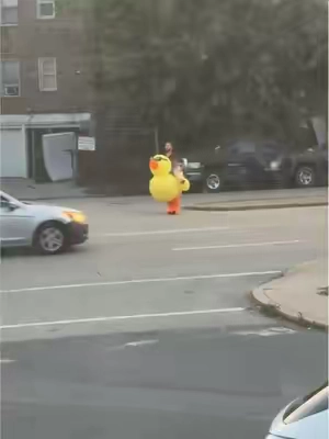Duck costume perfect for Halloween #ducks #inflatablecostume #halloweencostume #halloweenlook 