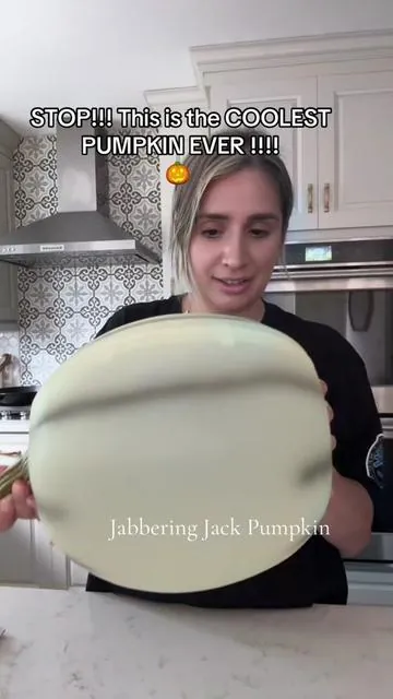 I need 100 of them 🤣🤣 Motion sensor too!!! #jabberingjack #pumpkin #falldecor #falldecorating #qvc 