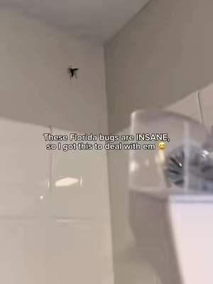 These Florida bugs are a different kind of monster, so I got this catch and release bug gadget to help release them outside safely without harming them! #bugs #tiktokshopcreatorpicks #dealsforyoudays #tiktokshopfinds #insect 