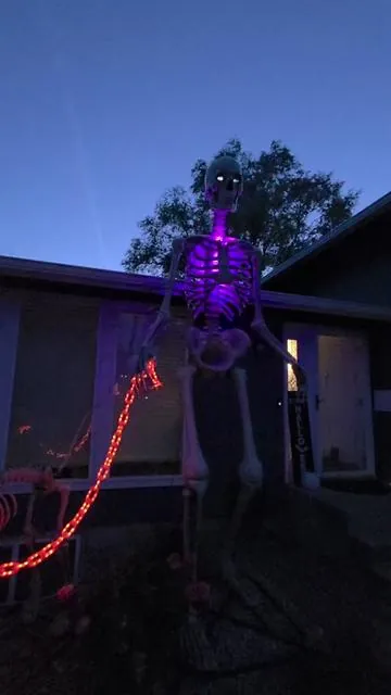 This is a must have for the 12ft skeleton and the skeleton dog. #12ftskeleton #halloween #halloweendecorations #halloweendecor 
