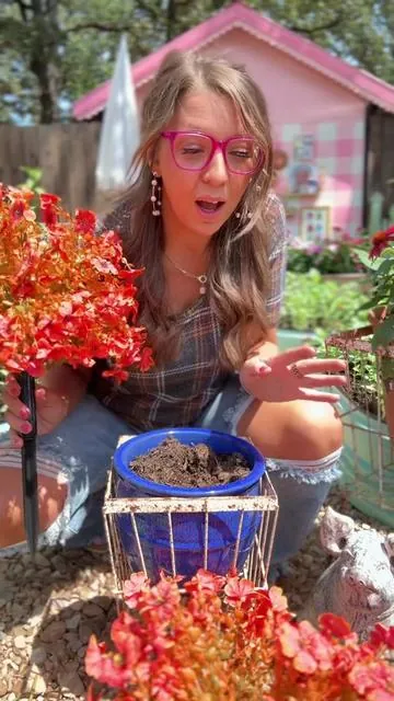 🍁Faux Fall Mums for the lazy girl win! #fakeflowers #mums #fallflowers #tiktokshoplabordaysale #tiktokshopcreatorpicks 