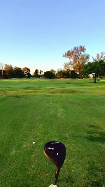 Looking to get more distance on the fairway? Introducing The Wood Set: DN-3 & DN-5 are Performance-tuned forgiveness & power. Stiff graphite shafts + balanced club design = smooth turf interaction & straighter shots!  #golftiktok #pov #golfswing #golftips #golftok 