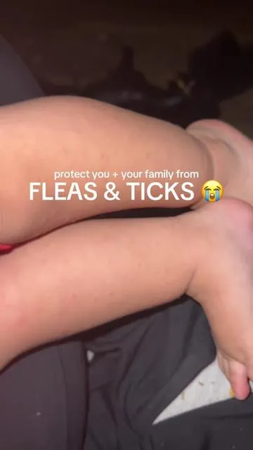 notice your cats or dogs scratching a lot? take action I tell ya! 😭 nothing worse than a flea infestation that happens really quick. 