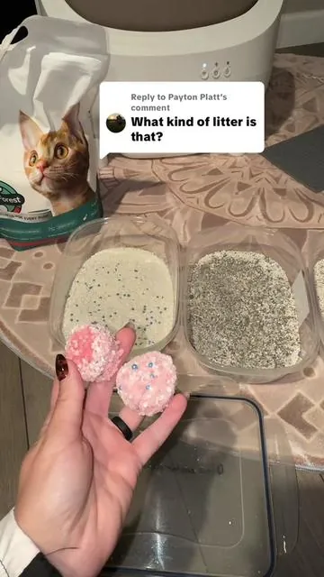 Replying to @Payton Platt The BEST cat litter!

#catlitter #clumpinglitter #litterbox #tiktokshopcreatorpicks #tiktokshopfalldealsforyou 