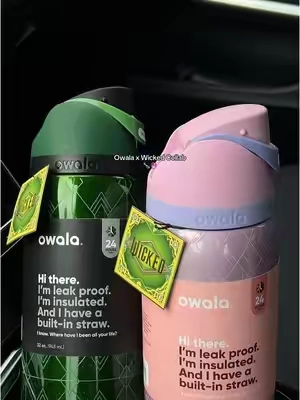 These are so dreamy ✨ There will be a restock! #owala #owalawaterbottle #owalawicked #wicked #wickedmovie #glindaandelphaba #glinda #elphaba 