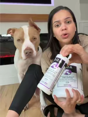 Mi olor favorito es el Apricot #odorcide #PetsOfTikTok #pet 