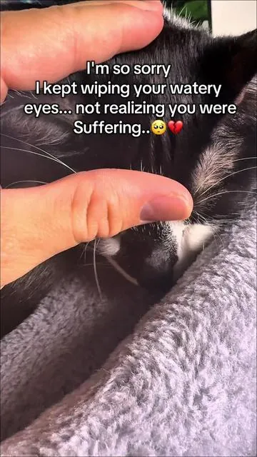 Had to take her to the vet because of this 😔#catcare #cat #catvitamin #fyp #cathealth 