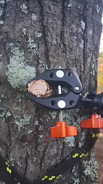 I love this phone holder