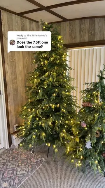 Replying to @Fire Wife Kaylee the 7ft Norfolk pine Christmas tree is stunning 🤩 #norfolkpinechristmastree #norfolkpine 