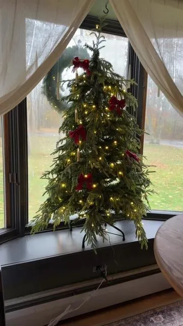 This Norfolk Pine Christmas Tree is so pretty 😍 #norfolkpinechristmastree #norfolkpine #tiktokshopblackfriday #tiktokshopbfcm #tiktokshopcybermonday 