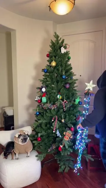 If you’ve been wanting a smart Christmas tree, you can actually just buy the smart Christmas led lights and add them to your old tree!! #smartchristmastree #smartchristmaslights #christmastreelights #tiktokshopblackfriday #tiktokshopcybermonday 