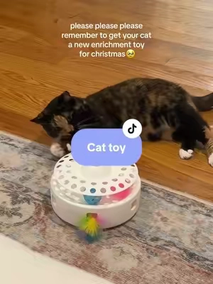 Different speeds & settings plus motion activated (the best part) #cattoys #catmusthaves #catenrichment 