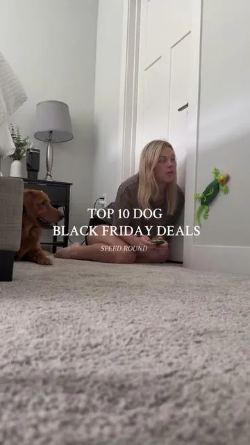 TOP 10 BLACK FRIDAY DOG ITEMS IN UNDER 1 MINUTE #goldenretriver #dogtok #dogtokers #blackfriday #dogblackfriday 