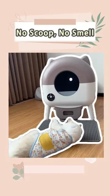 Mood lighting... for your cat! 😹 This smart box has adjustable lights to create the perfect vibe. 🎶 Safety sensors included!#TikTokShopBlackFriday #catlitterbox #automaticlitterbox #litterbox #fyp 