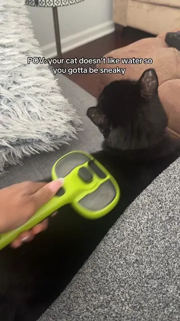 Cat mom hacks. Thank me later 😉 #blackpeoplepets #blackcatsoftiktok #catholic 