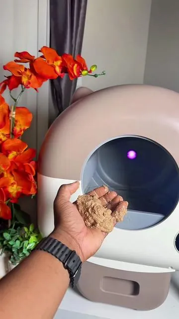 Tired of a smelly house from a dirty litter box that you have to change all the time… This is for you  #automaticlitterbox #litterbox #cat #cats #cattok 