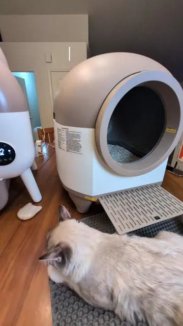 WarCat Pro High Capacity Automatic Litterbox with Light 🚨 This automatic litter box is equipped with the largest waste bin that I think I've ever seen on an automatic litter box! perfect! if you have multiple cats like up to five cats shoot maybe even more. it just stores so much! it also comes with a super smart app and smart technology built straight into the box as well as an optional light that is in there that you can turn on and change the color  #automaticlitterbox #cat #catlover #tiktokshopholidayhaul #tiktokshopcreatorpicks 