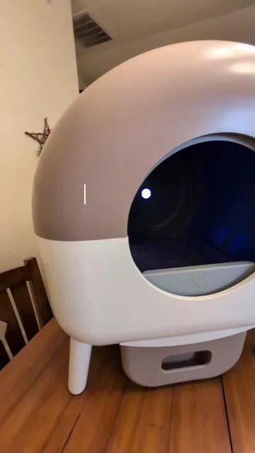 Honest Review ✨ WarCat High Capacity Automatic Litterbox for Multiple Cats 🙀 #catlover #automaticlitterbox #catsoftiktok #tiktokshopholidayhaul #tiktokshopcreatorpicks 