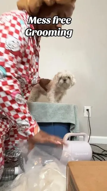 #petvacuum #doggrooming @Geoorood pet 
