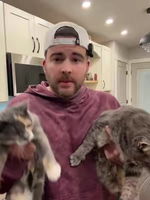 My cats love this stuff! #cattreats #cats 