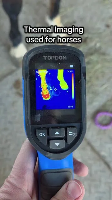 I think having one of these thermal imaging cameras on hand can be a great way to detect heat or inflammation in your horses. It could be a good way to get an idea of what is happening even before there is a major issue! This one from Topdon is great quality and handheld so it is super portable! #thermalcamera #thermalimaging  #horse #horseproducts #HorseCare 