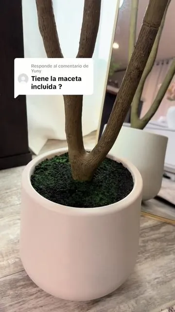 Respuesta a @Yuny planta de olivo decorativa para el hogar #homedecor #mirror #cozyathome #tiktokshopjumpstartsale #newyearnewme 