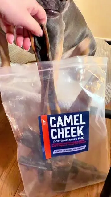A novel protein source in a long lasting chew, straight from Australia 🐪  @Wild Wolf Bully Sticks 