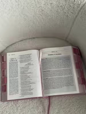 If you want to deepen your relationship with Christ this is the Bible for you🩷  #jesusbible #christiantiktok #proverbs31woman #godisgood 