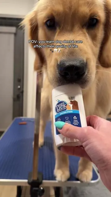 whoever invented this was genius 🤯 #doggel #dogoralhealth #dogmom #oralhygiene #dogcare @Tevrabrands 