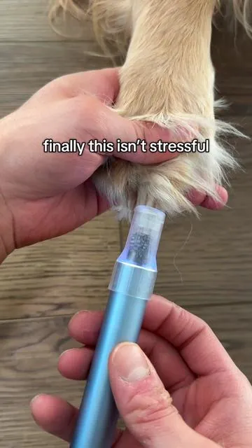 @Fanttik just launched a dog nail grinder and it’s a game changer!

#doggrooming #dogaccessories #dognailclipping #dogmusthaves #tiktokshopcreatorpicks 
