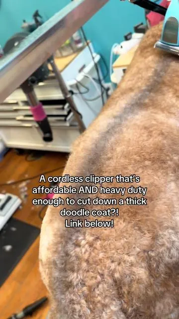 They are compatible with all blades, and can be used with the cord while charging! I absolutely love them! #doggrooming #doggroomer #petgroomer #petgrooming #goldendoodle 