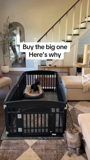 If you’re getting a puppy playpen… get the large one. It’s way more space and you can remove panels to make it smaller if you need to. #d#dogplaypenp#puppytrainings#smalldogownersd#dogmomlifetiktokshopcreatorpicks