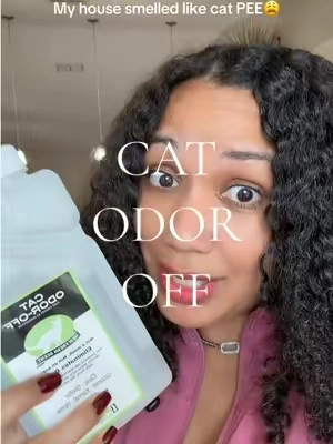 Cat pee smell remover that actually works 😩 If your cat peed on your rug, carpet, or couch try this! #catlover #catlady #catownerproblems #catpee #petparent 