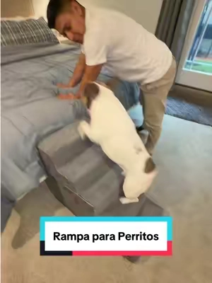 • escaleras para perros pequeños • escalera para mascotas para sofá • rampas para perros pequeños • escalera para perros para cama • escalones para perros pequeños • escalera para perros adultos mayores • rampa para perros para sofá • accesorios para mascotas perros pequeños • productos para perros pequeños en casa • ayuda para perros que no pueden saltar • escaleras para gatos y perros pequeños • cuidado de articulaciones en perros • productos para mascotas en casa • rampas para mascotas para cama alta • escalera para mascotas antideslizante #MascotasFelices #PerrosPequeños #AccesoriosParaMascotas #AmantesDeLosPerros #ProductosParaMascotas