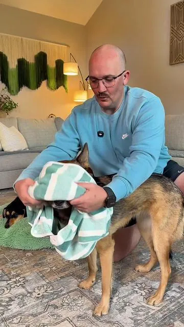 A bathrobe and towel that’s made specifically for your dog! #dogoutfit #catbathinggroomingbag #aestheticpetproducts #petparentstyle #smallpetselect