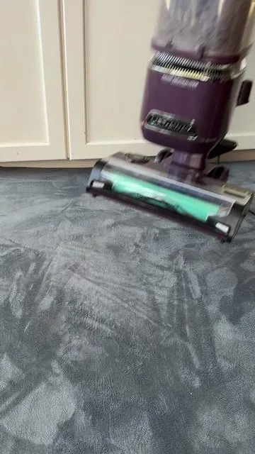 Learn from my mistakes 🙏😭 #vacuum #shark #sharkliftaway #sharkdetectliftaway 