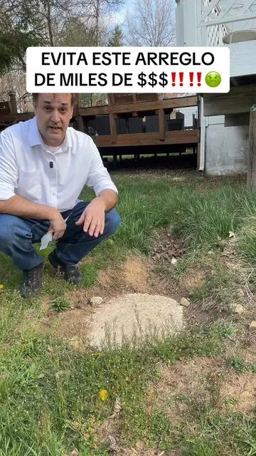 7629335931438288159
