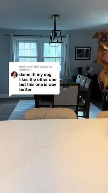 Replying to @Stacie Wagner The new upgrades are insane🤯 #petaccessories #dogessentials #doglover #tiktokshopcreatorpicks #dogparents 