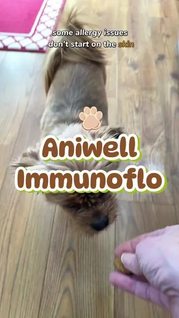 @getaniwell #dogguthealth #dogallergyrelief #doghealth #tiktokshopcreatorpicks 