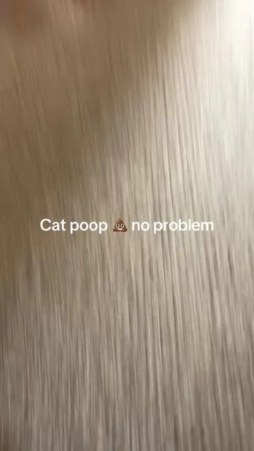 Self cleaning litter box is way to easy to use #catsoftiktok #cat #cats #tiktokshop #catlover 
