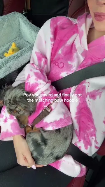 So cute!! @Comfrt 