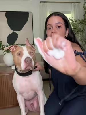 Este es ideal para uso diario #pet #petodoreliminator #dogshampoo 